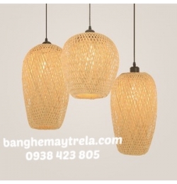 Đèn bí quả dài DN140