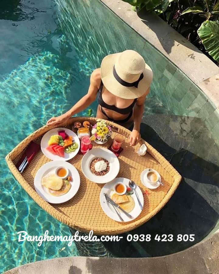 
								Khay nổi đồ ăn bể bơi mây nhựa NH201
