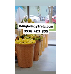 Bộ khay trưng bày trái cây hoa quả NH399